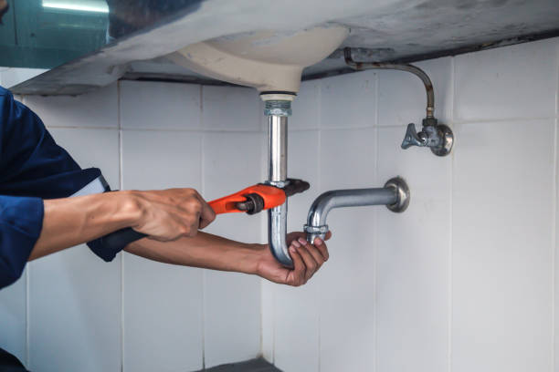 Best Same-Day Plumbing Service  in Aviston, IL