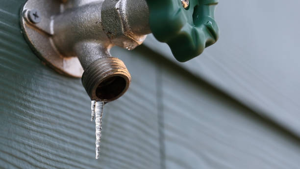 Best Emergency Plumber  in Aviston, IL